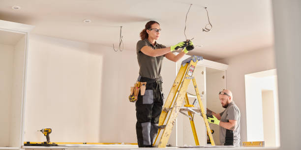 Best Electrician for Home Renovation  in Renville, MN