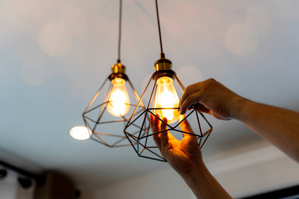 Best Ceiling Fan Installation Electrician  in Renville, MN