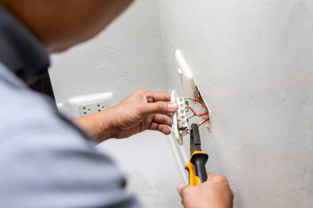 Best Electrician for Home Renovation  in Renville, MN