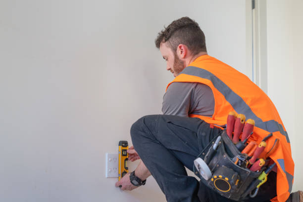 Best Electric Panel Repair  in Renville, MN